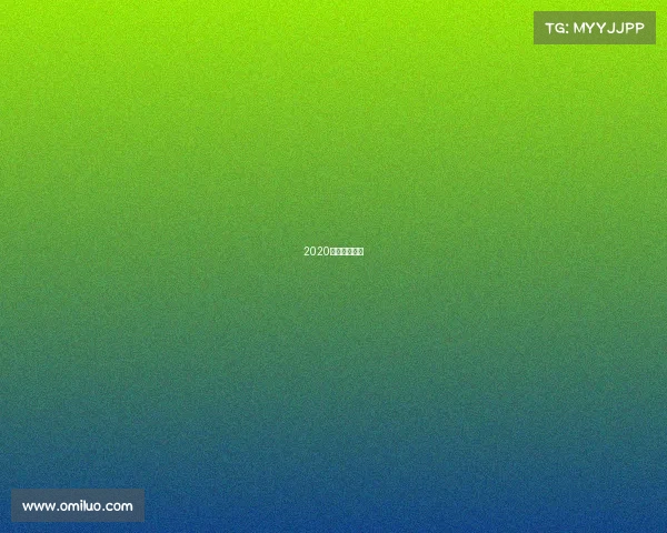 2020年散打冠军赛