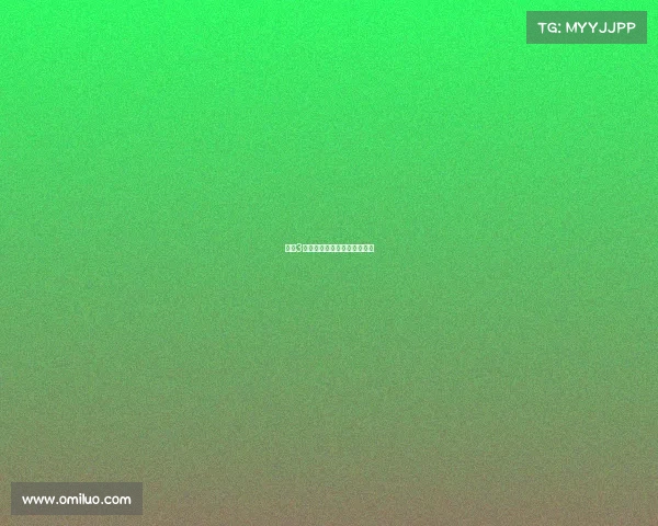 世界3大格斗赛事世界三大格斗游戏