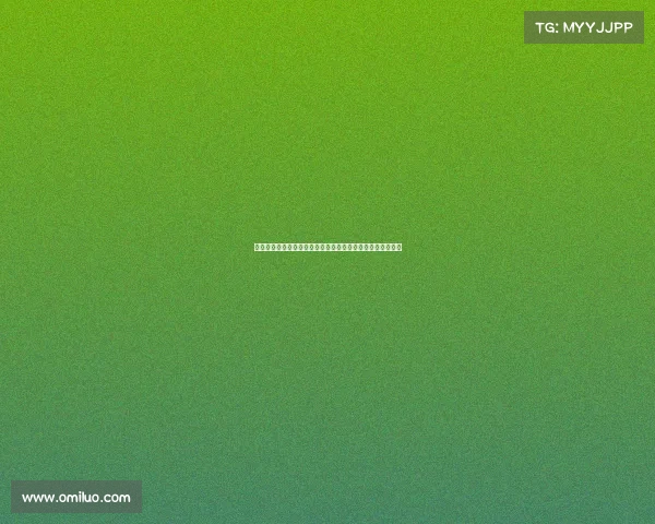 勒布朗詹姆斯领衔紫金军团决战总冠军巅峰激战点燃篮球热血